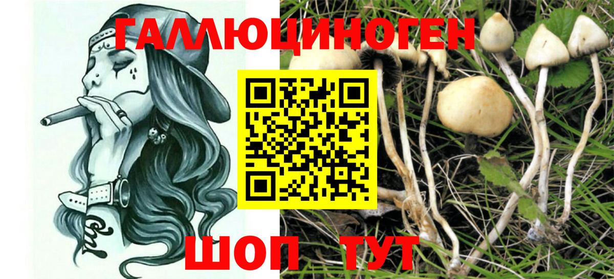 Галлюциногенные грибы Magic Shrooms Тайшет